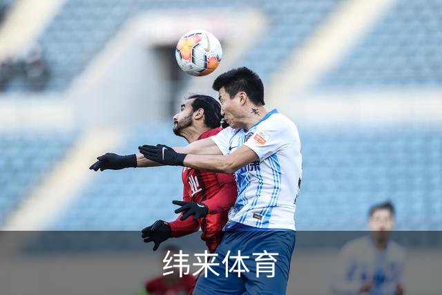 纬来体育公司简介